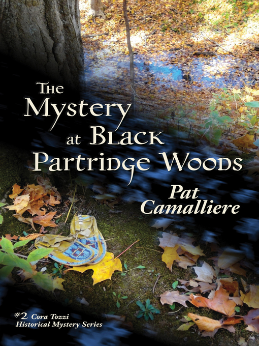 Title details for The Mystery at Black Partridge Woods by Pat Camalliere - Available